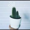 lloved_goods